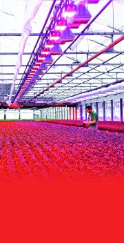 Aixtron- und die Banken stufen fröhlich auf kaufen 352847