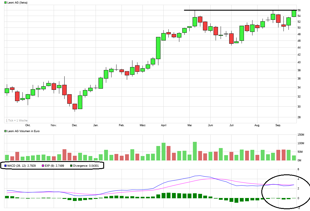 LEONI.... von der Drahtwerkstatt zum Global Player 1013667