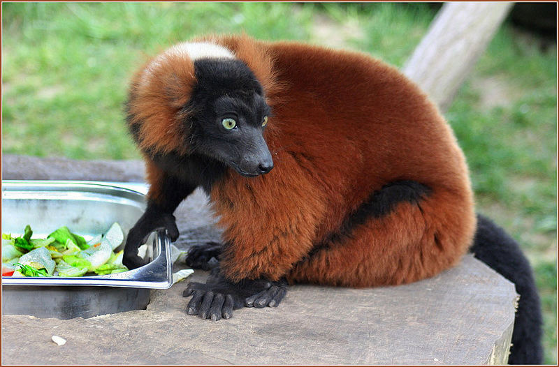 737.DAX Tipp-Spiel, Mittwoch, 05.03.08 152509