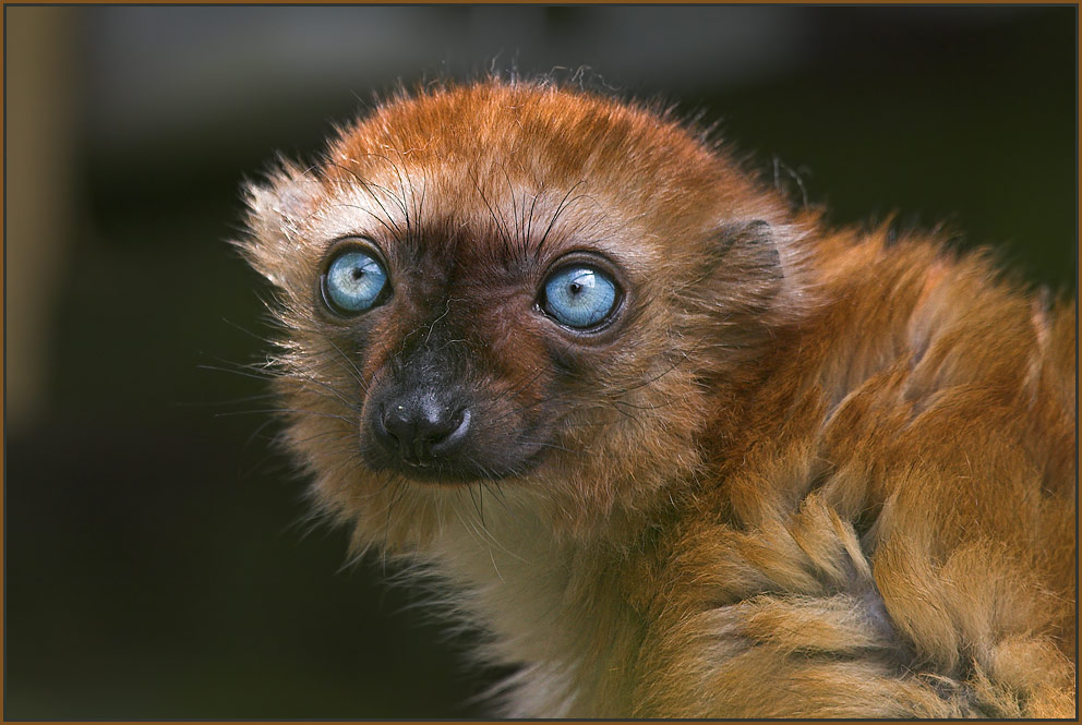 744.DAX Tipp-Spiel, Freitag, 14.03.08 154744