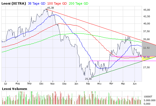 Chartcheck - Leoni 169986