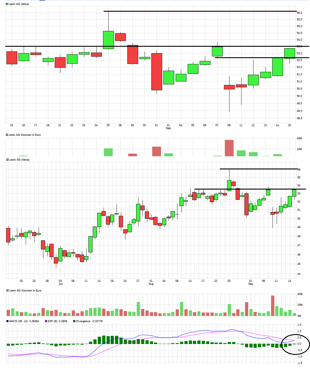 LEONI.... von der Drahtwerkstatt zum Global Player 1012555