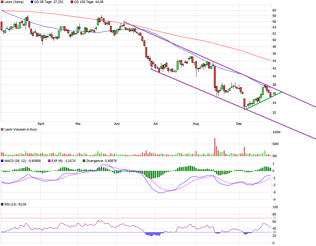 Leoni - hingeschaut 1075936