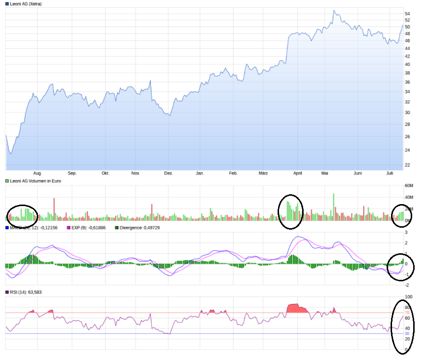 LEONI.... von der Drahtwerkstatt zum Global Player 1001612