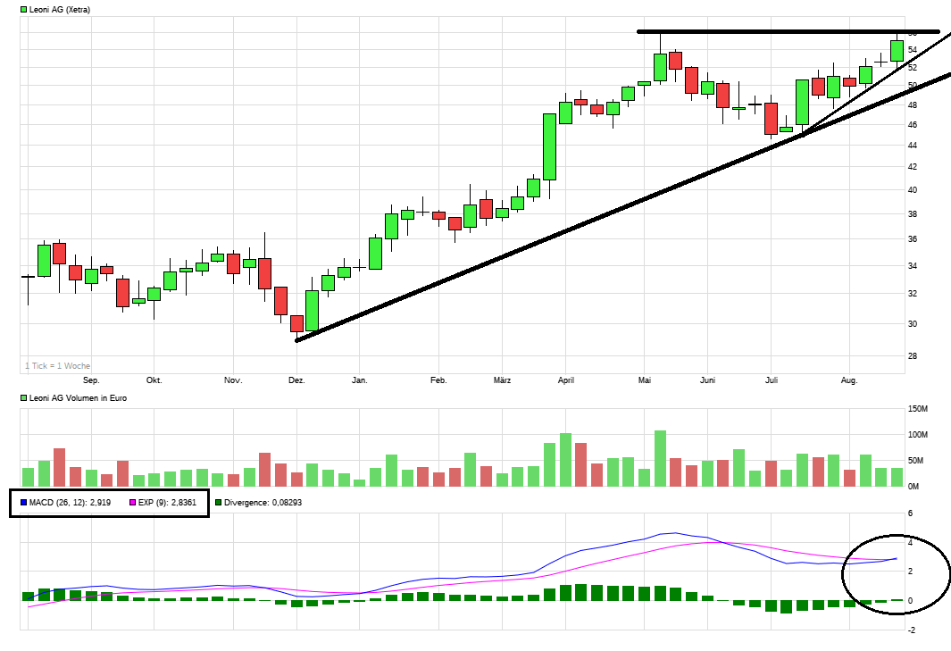 LEONI.... von der Drahtwerkstatt zum Global Player 1008798