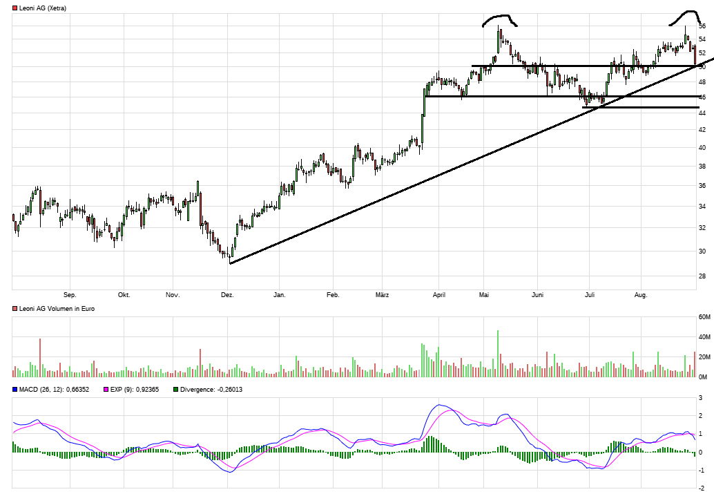 LEONI.... von der Drahtwerkstatt zum Global Player 1009815