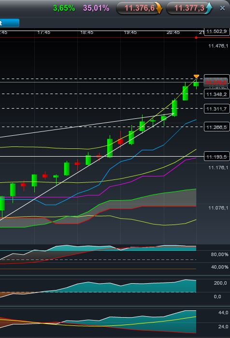 Quo Vadis Dax 2011 - All Time High? 439288