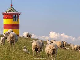 q-loud & die neue QSC AG 1431101