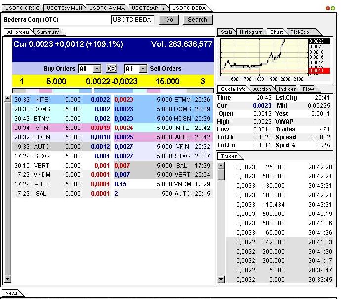 Bederra Corporation 294845