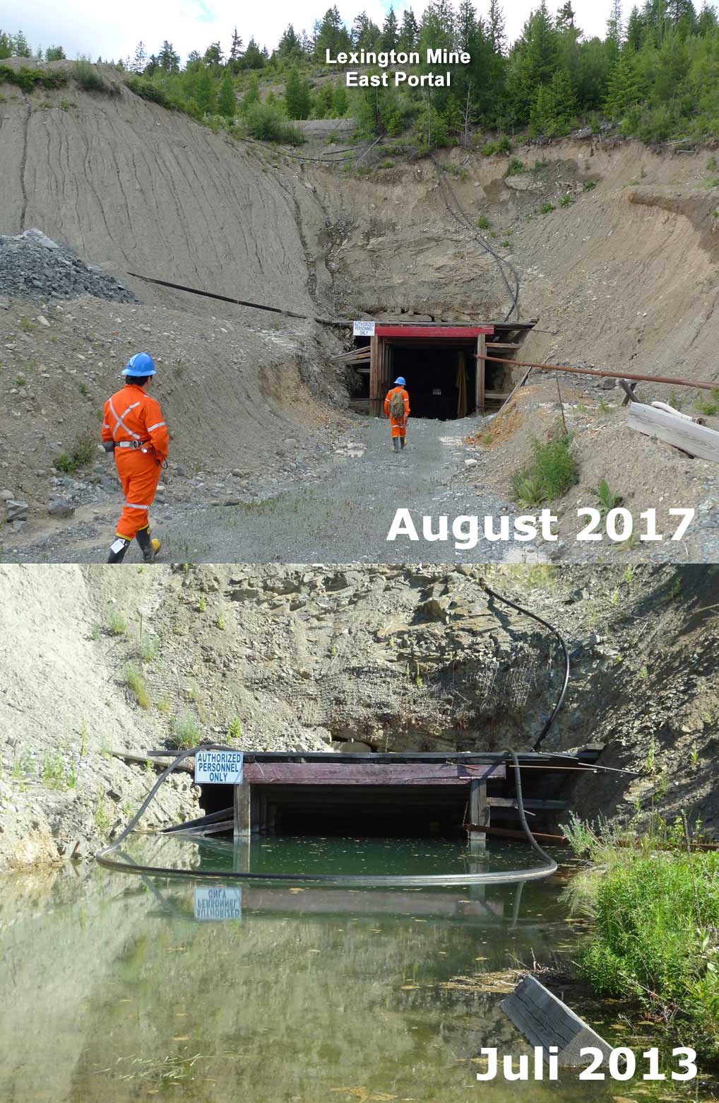 Golden Dawn Minerals 1015054