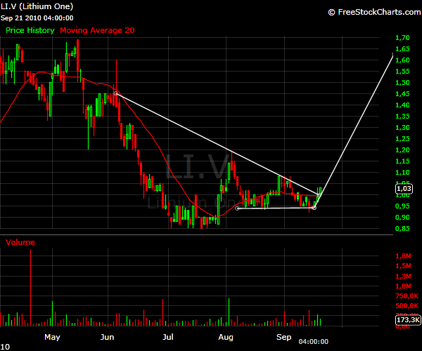 Lithium One Inc. Registered Shares O.N. (A0QYUB) 346482