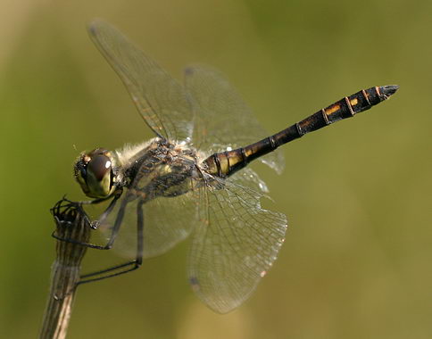 676.DAX Tipp-Spiel, Dienstag, 04.12.07 134672