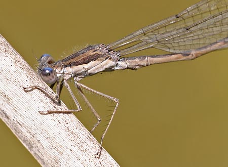 667.DAX Tipp-Spiel, Mittwoch, 21.11.07 132278