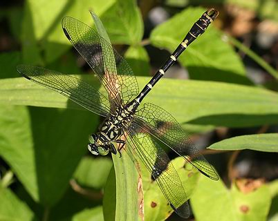 742.DAX Tipp-Spiel, Mittwoch, 12.03.08 154020