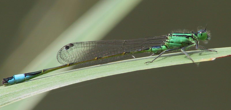 763.DAX Tipp-Spiel, Montag, 14.04.08 159416