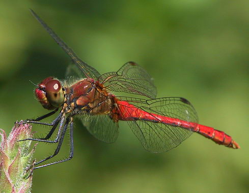 1.164.DAX Tipp-Spiel, Montag, 09.11.09 273140