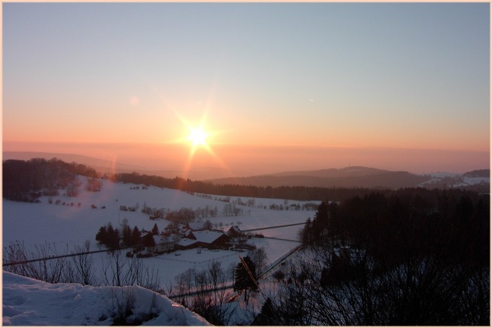 419.DAX Tipp-Spiel, Mittwoch, 29.11.06 69017