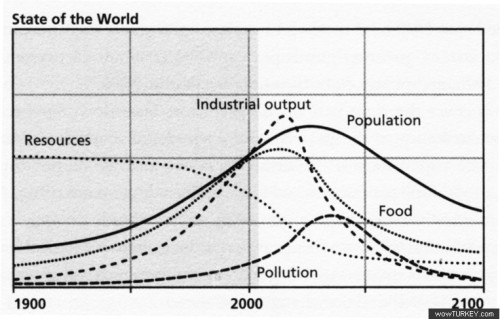 Wenn das Gold redet, dann schweigt die Welt! 534613
