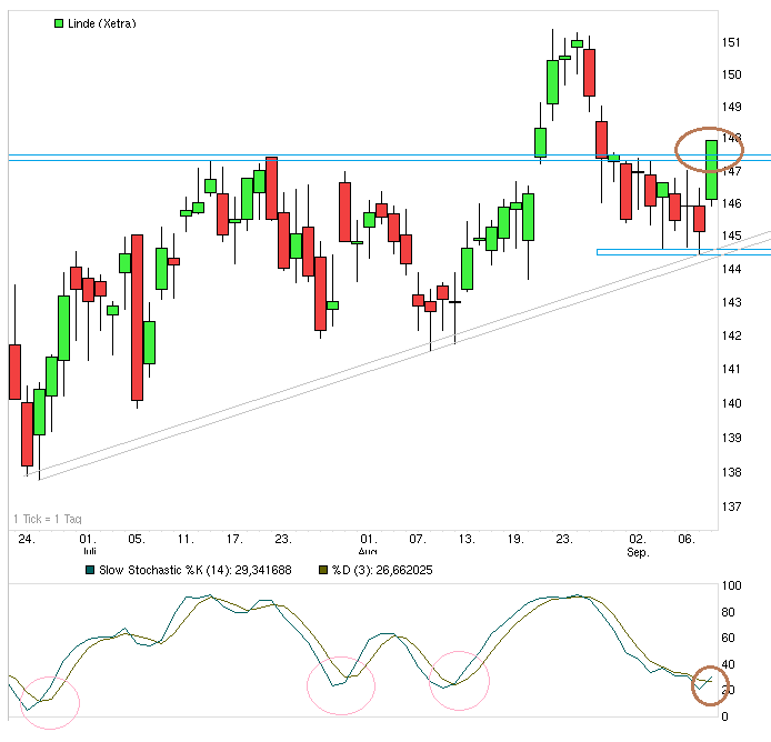 Stabil wie eine Alte Linde im Winde 642698