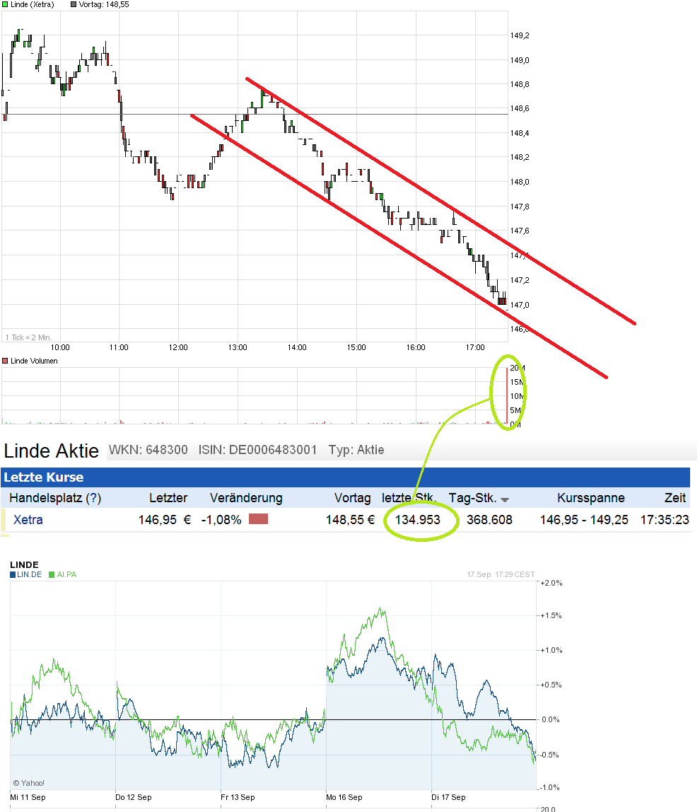 Stabil wie eine Alte Linde im Winde 645311