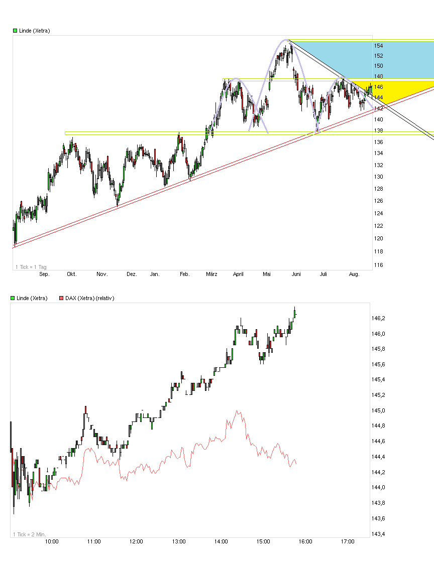 Stabil wie eine Alte Linde im Winde 636062