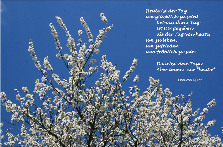 Gold traden - long bzw. short 893824