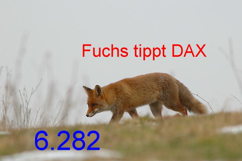 395.DAX Tipp-Spiel, Donnerstag, 26.10.06 63905