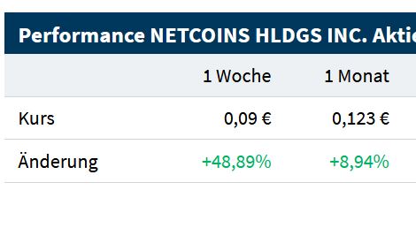 Netcoins Holdings Inc. - A2N41F 1081907