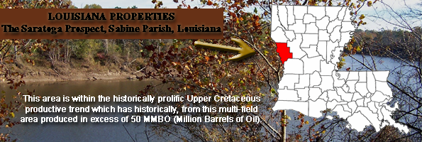 Gulf Coast Oil & Gas Inc. (GCOG) 183411