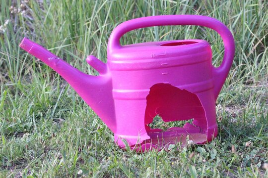 Wenn das Gold redet, dann schweigt die Welt! 1315784