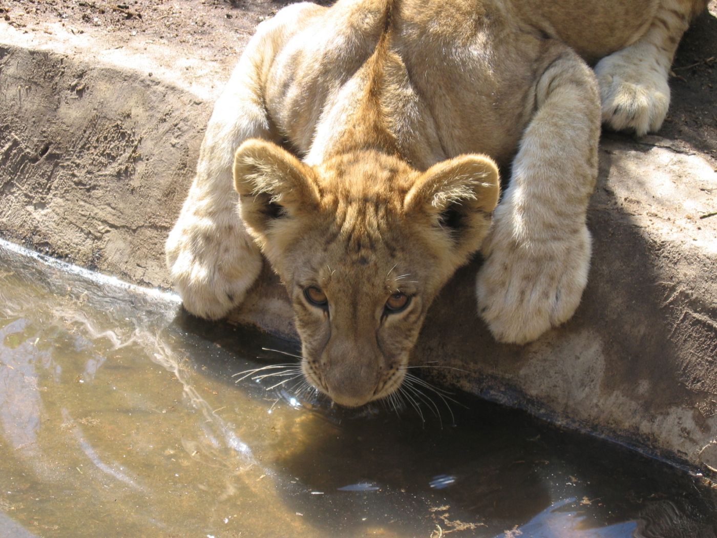 751.DAX Tipp-Spiel, Donnerstag, 27.03.08 156653