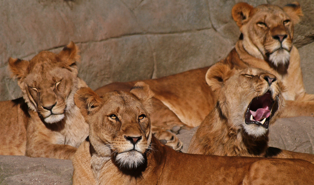 898.DAX Tipp-Spiel *Dienstag* 21.10.08, 17.45 Uhr 193961