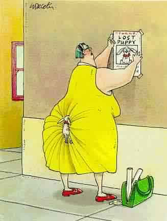 forsys neue Kursrakete ? 151194