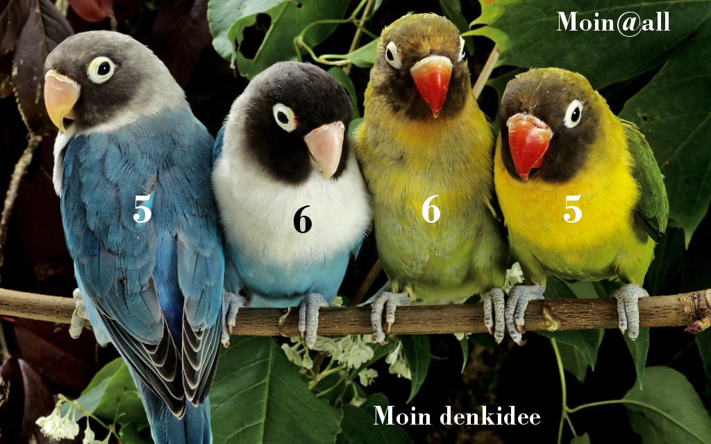 Die Links zu den Sternenkinder (DAX Spiel) 444125