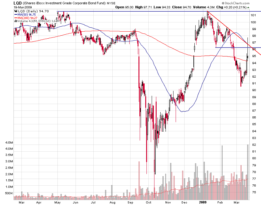 Der USA Bären-Thread 223226