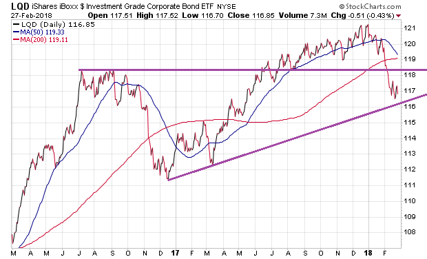 Der USA Bären-Thread 1042959