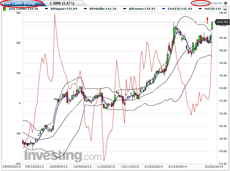 Der USA Bären-Thread 699212