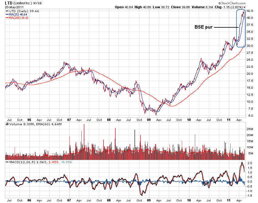 Bear Zocks - daily 405268