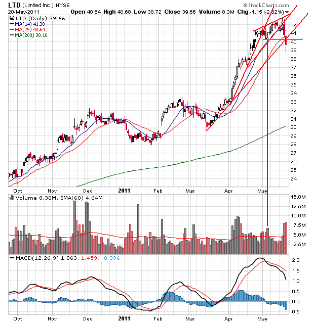 Bear Zocks - daily 405269