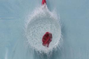 QV ultimate 2012 562479