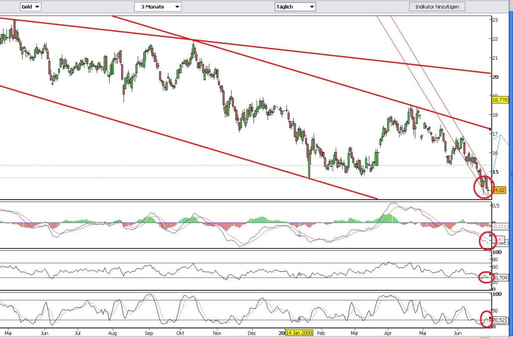 Das Bärengebrüll wird schon wieder lauter, 171833