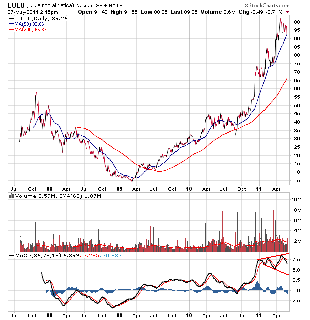 Bear Zocks - daily 407145