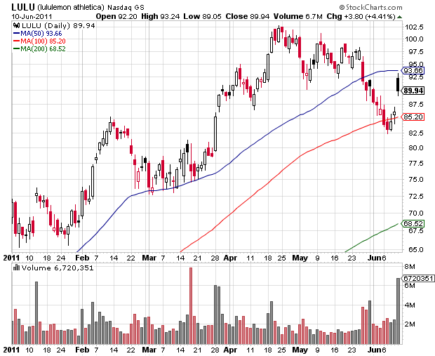 Bear Zocks - daily 411331