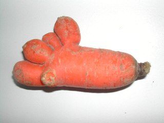 366.DAX Tipp-Spiel, Freitag, 15.09.06 57024