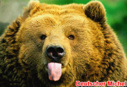  877.DAX Tipp-Spiel *Montag* 22.09.08, 17.45 Uhr 187795