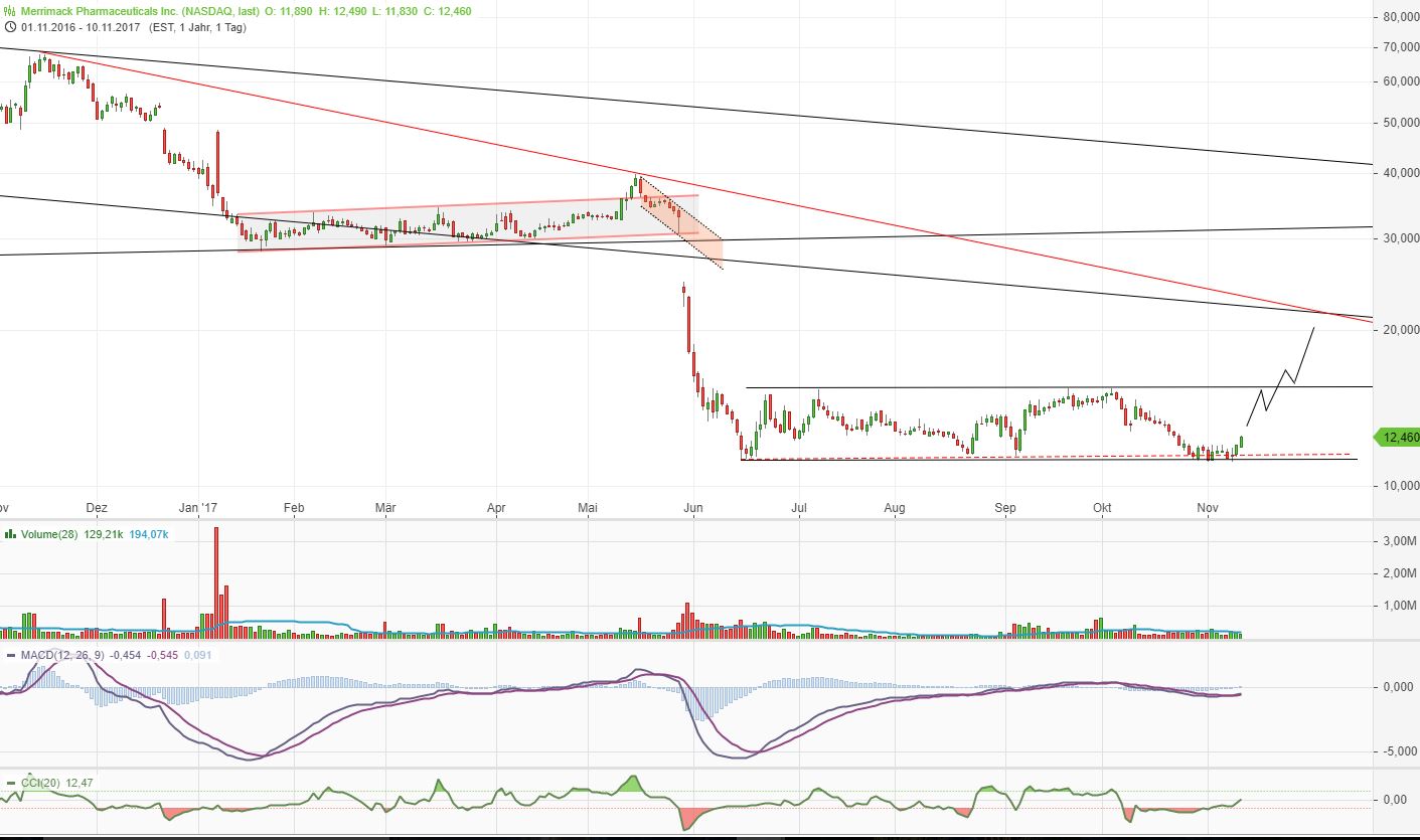 Merrimack Biotech/ Bauchspeicheldrüse 1023311