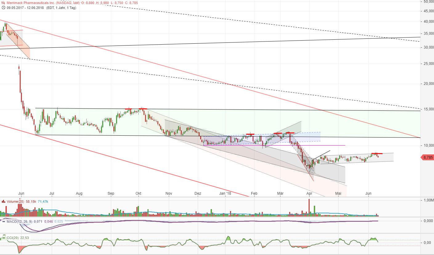 Merrimack Biotech/ Bauchspeicheldrüse 1059069
