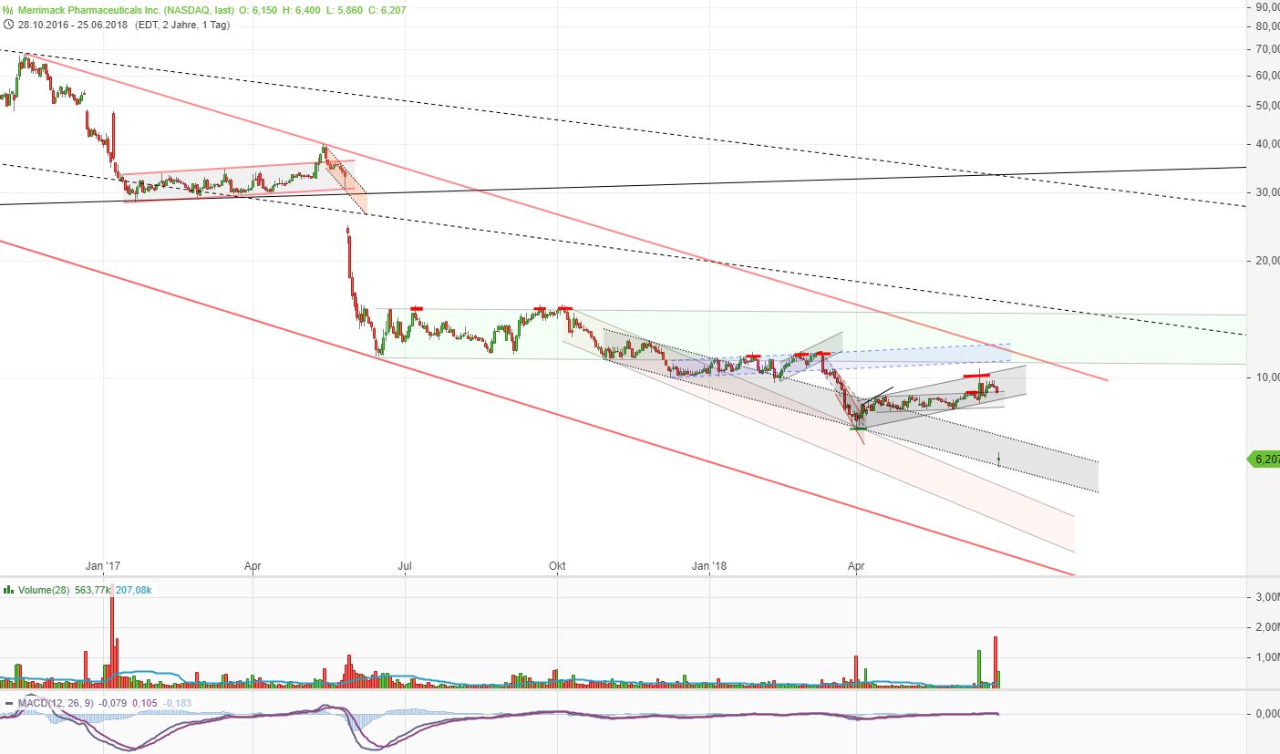 Merrimack Biotech/ Bauchspeicheldrüse 1061448