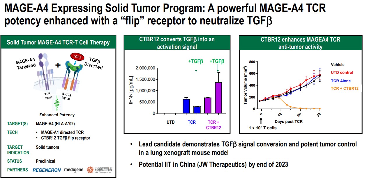 Medigene - Sachliche und fachliche Beiträge 1385313