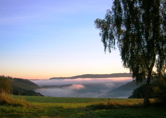 Arcandor AG nach der Insolvenz 348772